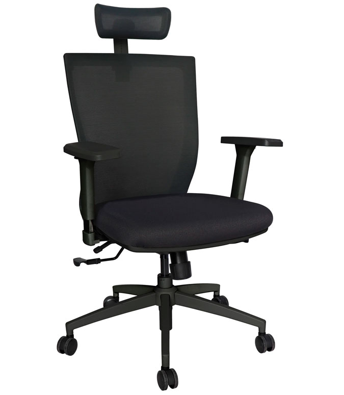 Silla Ejecutiva Nikken